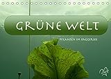 baggersee kork ÖKOLOGISCH - Der CALVENDO Verlag ist ein ökologisch agierendes Unternehmen, das sich zielorientiert für Umweltschutz und Nachhaltigkeit einsetzt. Durch die bedarfsgerechte Einzelfertigung im Print-on-demand Verfahren entsteht eine deutliche Abfallreduzierung. Dabei verwendet CALVENDO nur Papier, das den FSC-Vorgaben entspricht. Die Druck- und Produktionsstandorte befinden sich in Deutschland (Qualität Made in Germany) = klimabewusste Logistik durch kurze Transportwege.