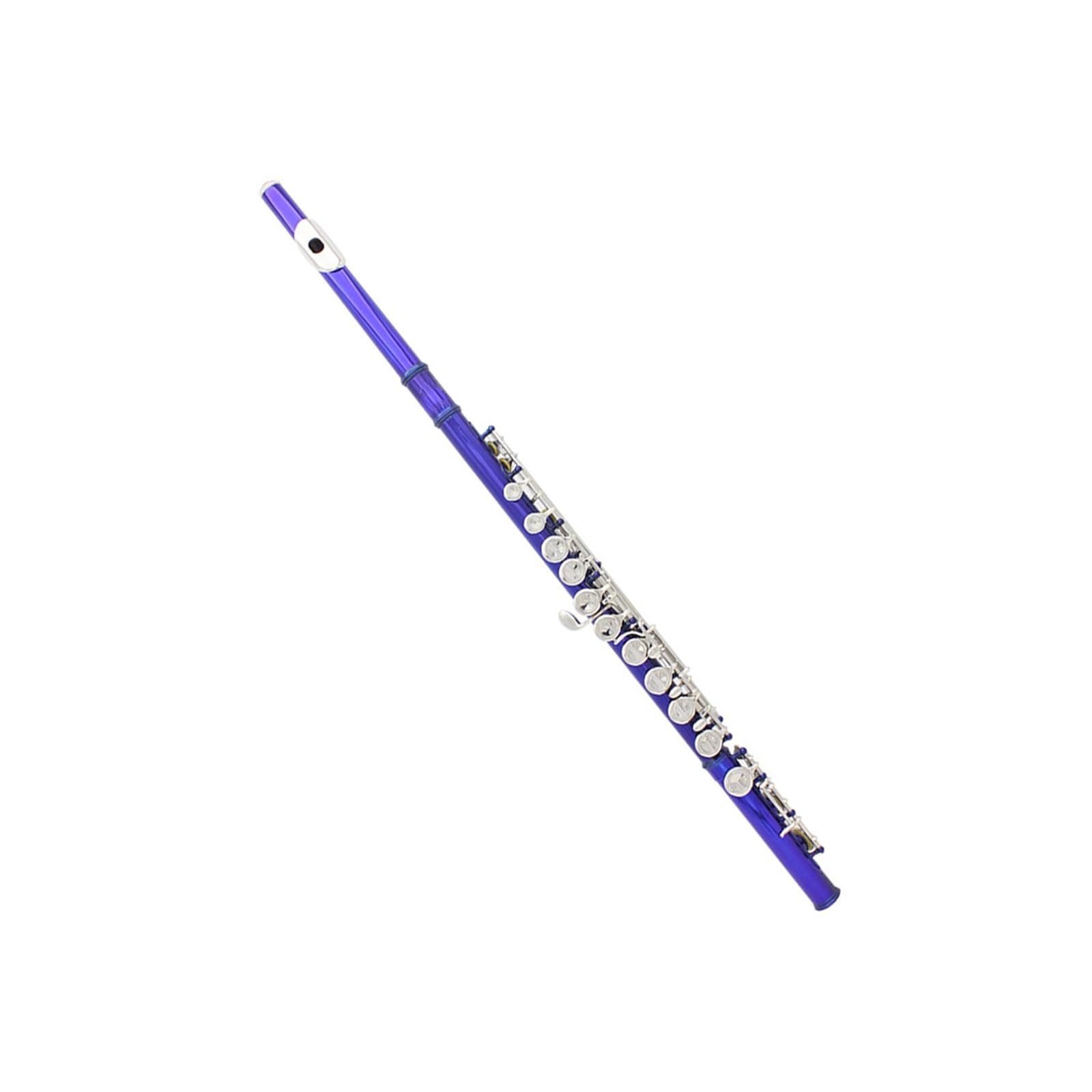 Flauta Flauta azul de 16 agujeros flauta con llave C con caja de cuero bolsa para flauta accesorios para instrumentos juego de limpieza