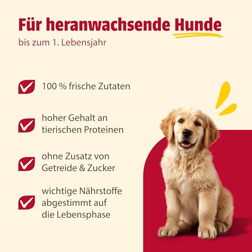 animonda GranCarno Junior Rind + Huhn (6 x 800 g), Welpenfutter für Junge Hunde, Nassfutter für Hunde mit 100% frischen, fleischlichen Zutaten, Junior Hundefutter ohne Getreide