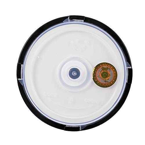 ERYUE 10Pçs 215Min 8X Dvd + R Dl 8.5 GB Disco Em Branco Personalizável Disco De Dvd Para Dados E Víd