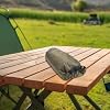 Saco Bivy Reflectante Térmico Recfountik 70D Ripstop Nylon Impermeable 5000mm Ligero para Supervivencia Camping Senderismo Clima Frío Verde miniatura 6
