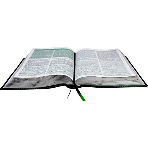 Bíblia de Estudo Conselheira - Capa couro sintético: Nova Almeida Atualizada (NAA)