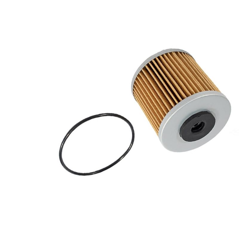 Amazon.com : (YPS) 71943, HG71943 Genuine OEM Hydro Gear Hydraulic
