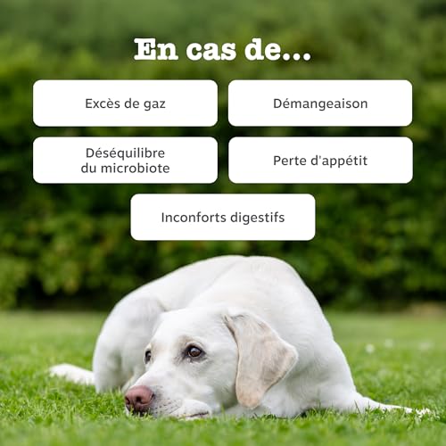 Zesty Paws Bouchées Probiotiques Chien | 90 Bouchées – vue 2