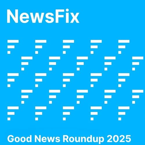 NewsFix - 2025 Roundup