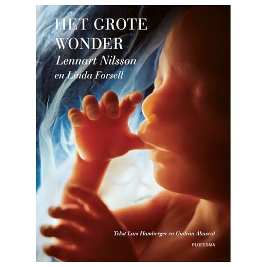 Het grote wonder
