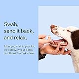 Wisdom Panel Breed Discovery Dog DNA Kit: Most Accurate Dog Breed Identification, Test for 365+ Breeds, MDR1 Health Test, Ancestry, Relatives - Image 7