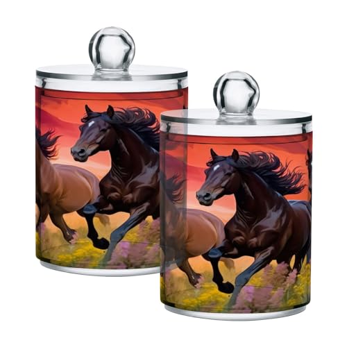 Wassud Horse Riders in The Sunset 2 Pack Clear Plastic Qtip Holder Dispenser Set,Bathroom Storage Canister for Cotton Swabs, Balls, Dental Floss,Pads,Organize with Apothecary Jars
