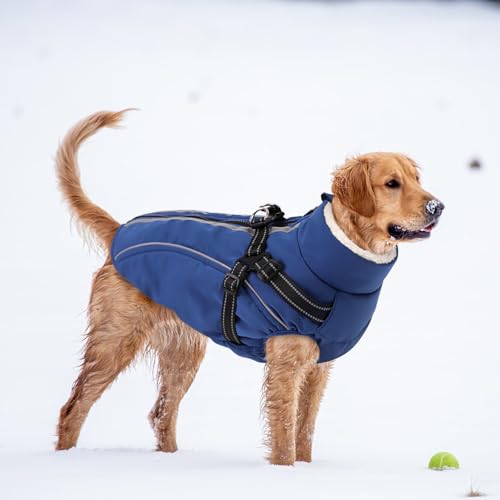 CITÉTOILE Hundemantel Hundejacke Warm Wintermantel mit Reißverschluss Winddichte & Winddichte mit Reflektorstreifen & Brustgurt für kleine Mittel Große Hunde Blau M