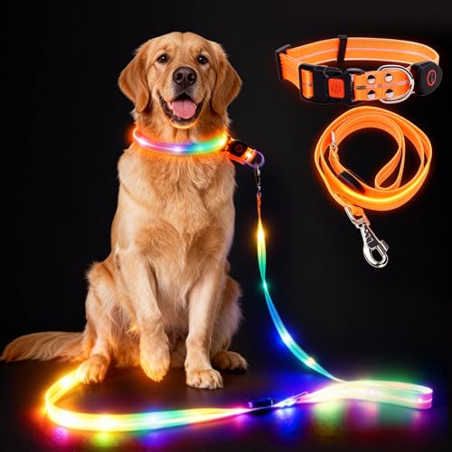 Guinzaglio per cani a LED con collare luminoso, ricaricabile, USB, 120-150 cm, guinzaglio LED per cani, 3 modalità di illuminazione per passeggiate di notte