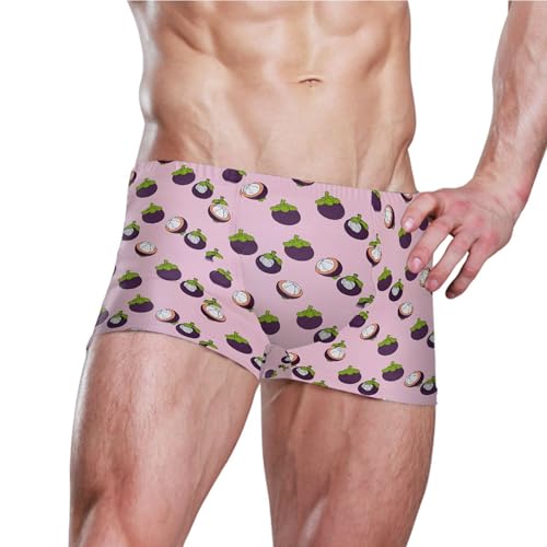 Purple Mangosteen Fruit Mens Swim Trunk Swimwear Bathing Suit Swim Brief Square Leg Board Short S B04051393