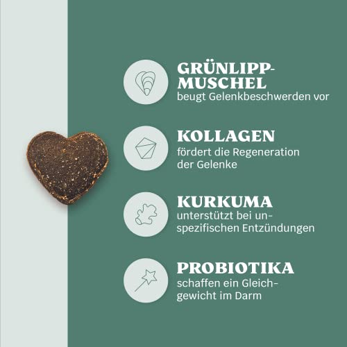 11-in-1 Grünlippmuschel Hund Gelenktabletten - Happy Hips 30 Leckerli (110g) von mammaly - Gelenk- & Knochenschutz für Hunde - Praktische Alternative zu Kapseln & Grünlippmuschelpulver für Senior
