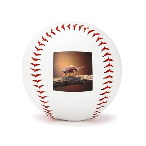 Balles de baseball de 22,9 cm : améliorez votre lancer et votre frappe dès aujourd'hui