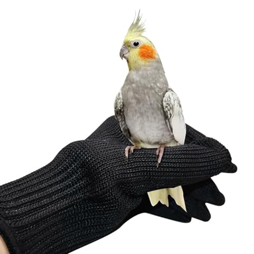 NCONCO 1 paire de gants anti-morsure pour perroquet, entraînement des oiseaux, petits animaux, gants en fil d'acier et gants de protection en fil d'acier (noir)