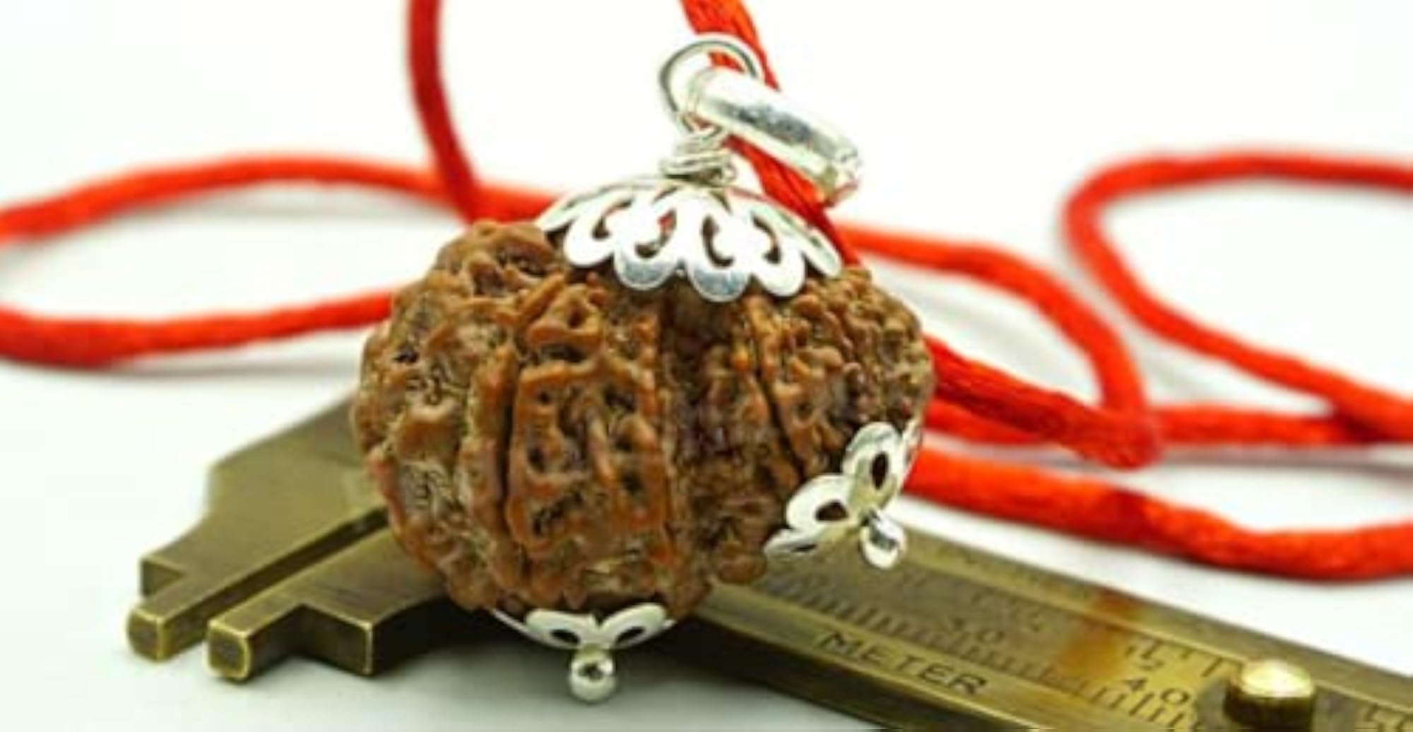 Garbh Gauri Rudraksha Original Certified Beads