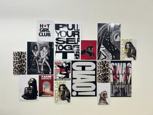 Image of 15 Piece Aesthetic Poster Set | 300 GSM Multi-Sized Wall Posters with Adhesive Tape | Fashion, Music, Animal Print & Pop Art for Bedroom, Room Decor, Home Decor, Wall Art & Aesthetic Room Decor