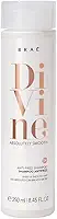 BRAÉ DIVINE SHAMPOO ANTIFRIZZ 250ml