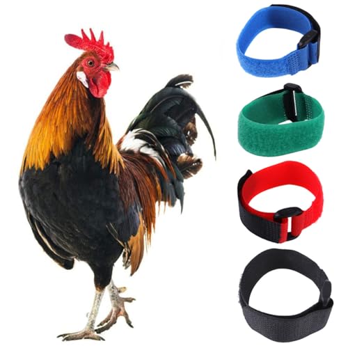 Image of 2Pcs Anti Crowing Collar Adjustable Rooster Cockerels Anti-Hook No Noise Nylon Neck Strap Pet Products Pets Collar Anti Crow Rooster Rooster Collar Collar Anti Crow Rooster Collar for Small Rooster