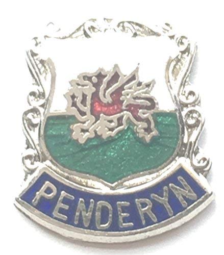 Preisvergleich Produktbild Emblems-Gifts Penderyn Emaille Pin-Anstecker