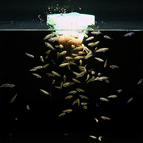 A.d.p. Uth Fish Food Fresh Fairy Shrimp 75 G. Best Tropical Fish Food Grow Faster & Color Enhancer Slow Sinking Like Pellets High Protein 74.41% For All Baby Fry Newborn Fish Feed & Small Fish Care #TOP6