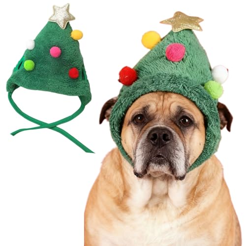 ybgpNX}XnbgAʂݖXq߉\ȃwbhhX킢XqALybgp[eB[ANZT[RX`[(LTCY)