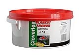 Cloverleaf Blanket Answer Blanketweed Water Garden & Pond (Blanket Answer 2KG)