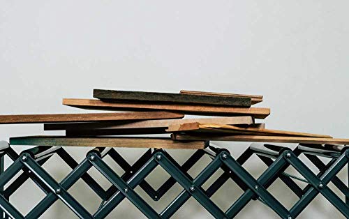 Supermax Tools Expandable Roller Conveyor - Adjusts Up To 50" Long X 36" Tall W/ 200Lb Max Load Capacity #TOP4