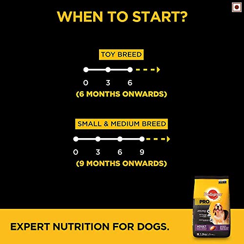 Image of Pedigree PRO Expert Nutrition Dry Food for Small Breed Adult Dogs (9 Months Onwards), Chicken Flavour, 1.2kg Pack