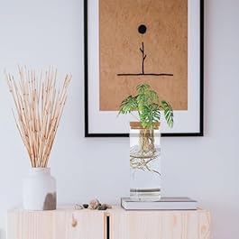 Hydroponic Plant Bottle,...