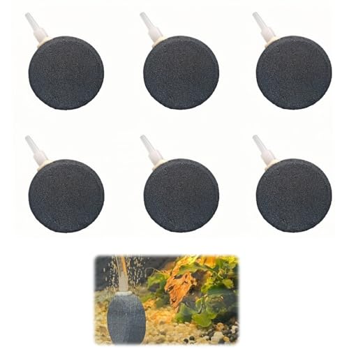 AkNebriax 6Zbg GA[Xg[ ی` CAfBt[U[ ^ C a4cm 1.5cm CAgU ׂA GA[V ėp\ _f⋋   ANAE {t͔|p C _f⋋   GA[V