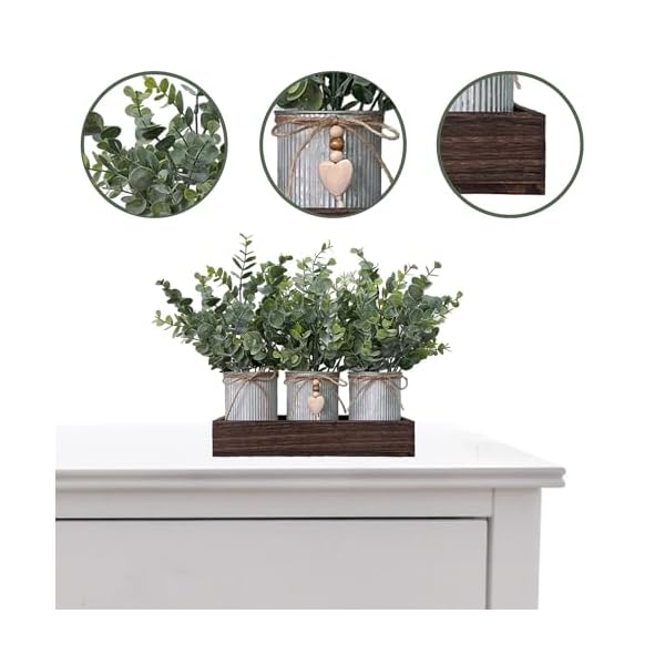   urban country home decor
