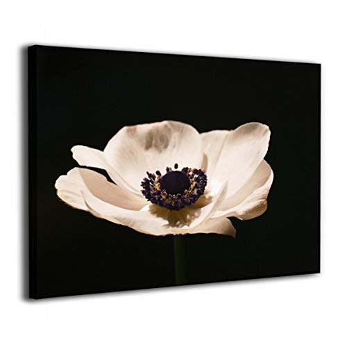 Tour Edge Hot Launch E525 VIBRCOR Gap Wedge 52* (Graphite UST Helium Black, Stiff, Left) 2025