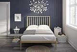 Novogratz Nicole Metal Bed with Storage, Gold, Queen