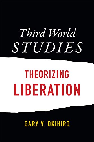 Third World Studies: Theorizing Liberation view 2