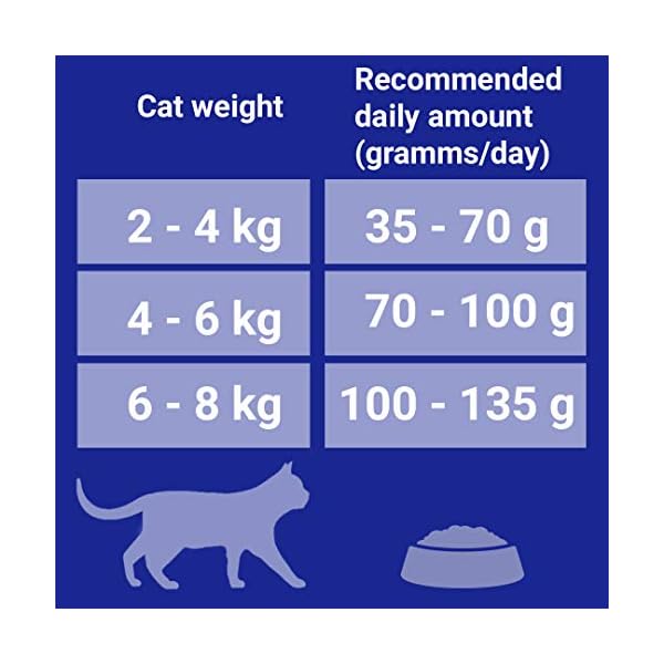 Purina ONE Katzenfutter für Erwachsene, chicken – Bild 7