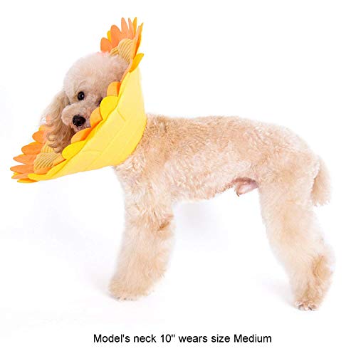 PETCUTE Collare Elisabettiano Morbido per Cane