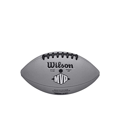 Image of WILSON NFL Recreational Footballs