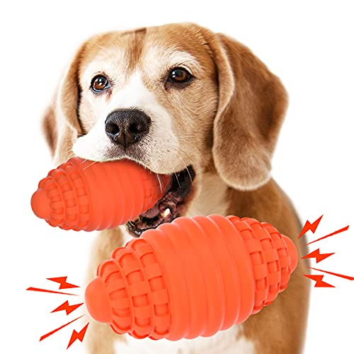 Find The Best Water Toys For Dog Reviews & Comparison Katynel