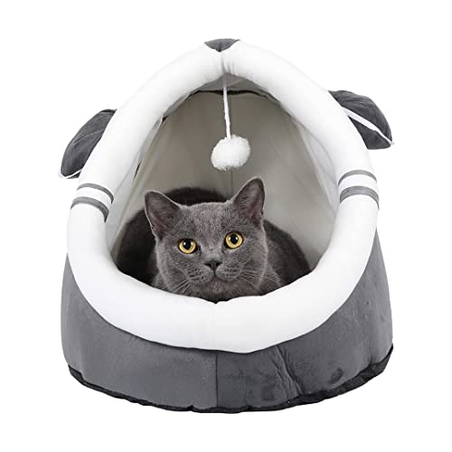 L xbh LnEX ybgxbh h[^ ۉh ΍ {[t ~ߕt L p (XL,B)