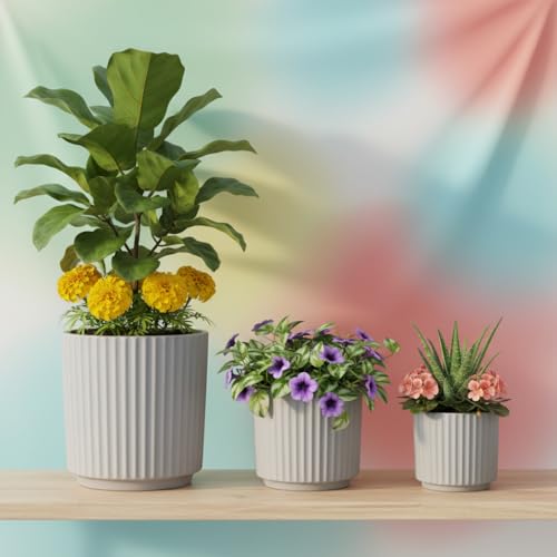 Image of Xtore Contemporary Ceramic Ribbed Planter Set | Minimal Vertical Groove Plant Pots for Home, Office & Living Room Decor - (Set of 3, Grey, Planter ONLY)