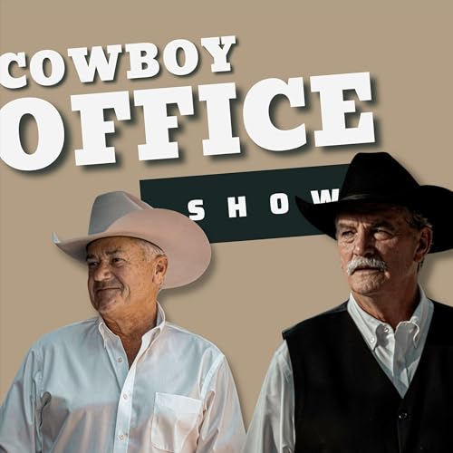 Ep # 42 - 2025 In the Rear View Mirror Podcast Por  arte de portada