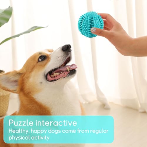 NEERIX Futterball für Kleine Große Hunde,Zahnpflege Hunde Spielsachen,Naturkautschuk Hundespielzeug Intelligenz Ball,Interaktiver Leckerli Spender,Zahnreinigung, IQ Training(5 cm, Blau,Grün)