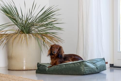 Designed by Lotte Nalino, Hundekissen, Samt, Grün, 70x55x15 cm