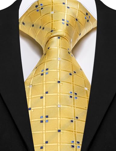 Image of Barry.Wang Plaid Ties Mens Silk Necktie and Tie Clip Checkered Tie for Wedding Party Business Formal