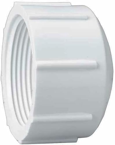 MaxLLTo Reemplazo 2-1/2 pulgadas PVC Roscado Tapa SCH 40 para fontanería Thrifco 8113728