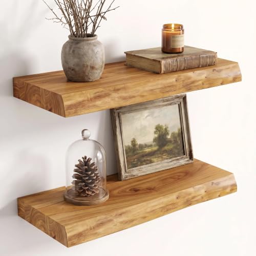 Image of Fun Memories 16 inch Wall Mounted Floating Shelves, Natural Elm Wood, 2 Pack