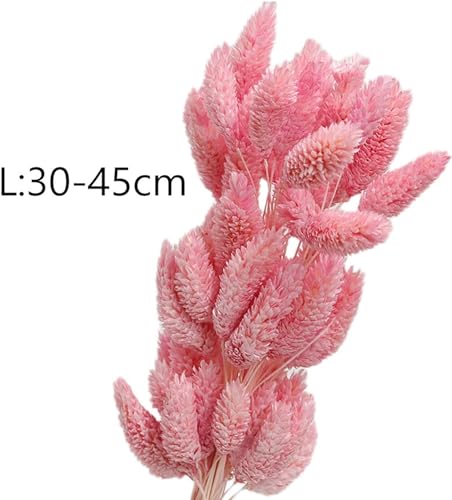 Ramos de flores secas 50 piezas cola de conejo rosa miniatura 3