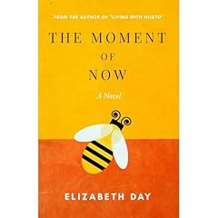 The Moment of Now Audiolibro Por Elizabeth Day arte de portada