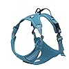 TRUE LOVE Truelove Adjustable No Pull Dog Harness Reflective Pup Vest Harnesses Comfortable Control Brilliant Colors TLH5651BlueS