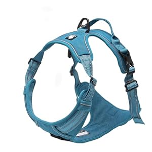 Truelovetrueloveadjustablenopulldogharnessreflectivepupvestharnessescomfortablecontrolbrilliantcolorstlh5651blues Urban Country Home Decor True love truelove adjustable no pull dog harness reflective pup vest harnesses comfortable control brilliant colors tlh5651blues urban country home decor